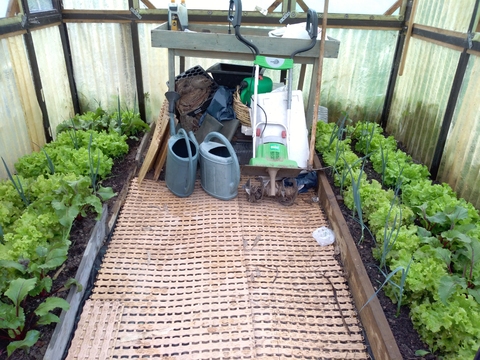 Produção de culturas numa pequena estufa localizada na horta biológica. estufa.