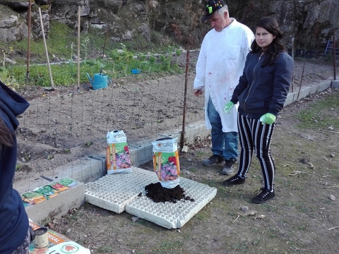 Com o trabalho dos alunos, professores e funcionários a nossa hortinha começou a ganhar nova cor e vida