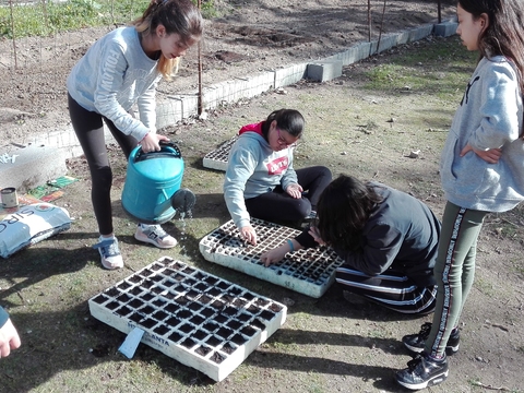 Com o trabalho dos alunos, professores e funcionários a nossa hortinha começou a ganhar nova cor e vida