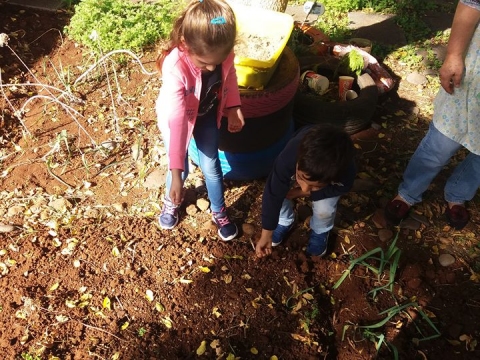 Crianças da pré-escolar semeando trigo.
