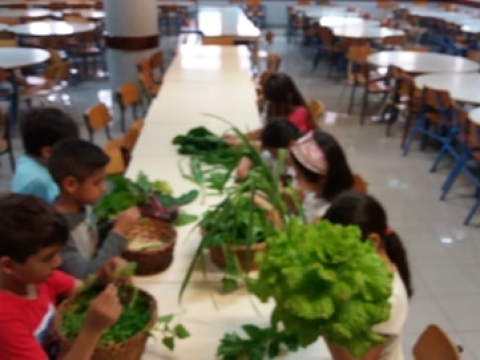 Preparação dos produtos hortícolas para a confeção da sopa na cantina da escola.
