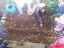 Crianças da pré-escolar plantando semilhas (batatas).