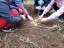 Grupo de crianças da pré-escolar colhendo as semilhas plantadas na horta.