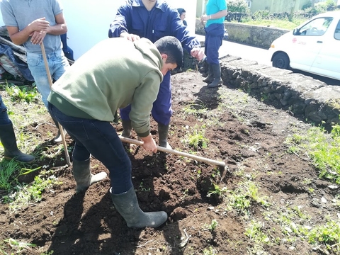 Preparação do solo para a sementeira de abóboras