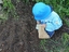 Também colocámos algumas sementes diretamente na horta para ver quais cresciam mais depressa.
