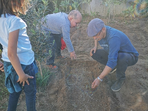 Alunos do 2º ano com um avô a semear alfaces.
