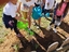 Alunos do 3º ano a regar gladíolos após a plantação dos mesmos.
