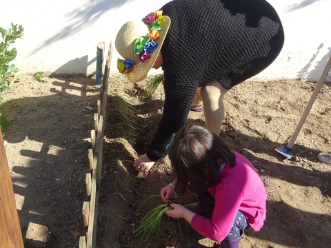 Idosos e criança a plantar cebolo.