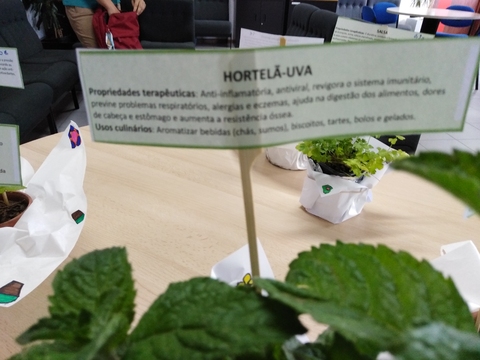 Venda de ervas aromáticas (produzidas na horta bio com os alunos da Educação Especial)