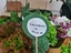 Minimercadinho: os produtos da horta foram disponibilizados à comunidade educativa para angariar verbas para adquirir novas sementes/plantas para a horta