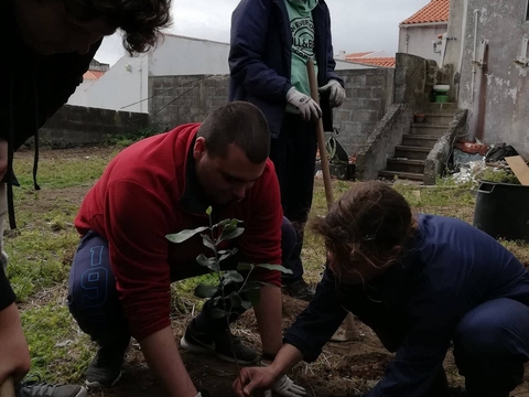 Plantio de feijocas, com alunos do Projeto da APADIF