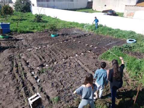 Horta Pedagógica - Projeto de Autonomia e Flexibilidade Curricular da turma A do 7º ano de escolaridade.
Preparação do terreno.