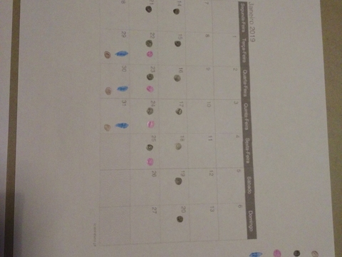 calendário que indica o número de dias que cada semente demora a germinar, segundo a legenda das cores