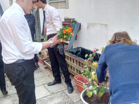 Plantação de flores / Aromáticas - experiência realizada com os alunos em contexto de aula