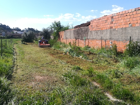 Preparação do terreno para a horta com o auxílio de um tractor.