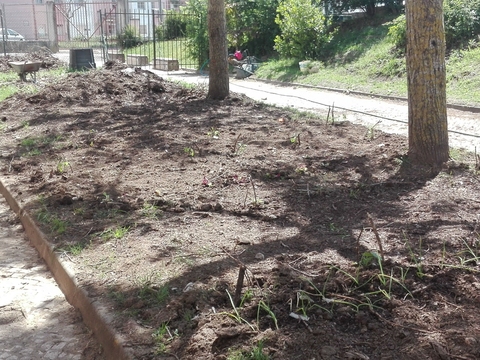 Terreno disponibilizado para os alunos de PCA criarem a sua horta