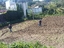 Terreno preparado para a plantação da horta biológica.
