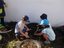 As crianças continuam a fazer a realização da mantenção da horta (retirar ervas).