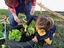 As crianças a colher os legumes que plantaram na horta.