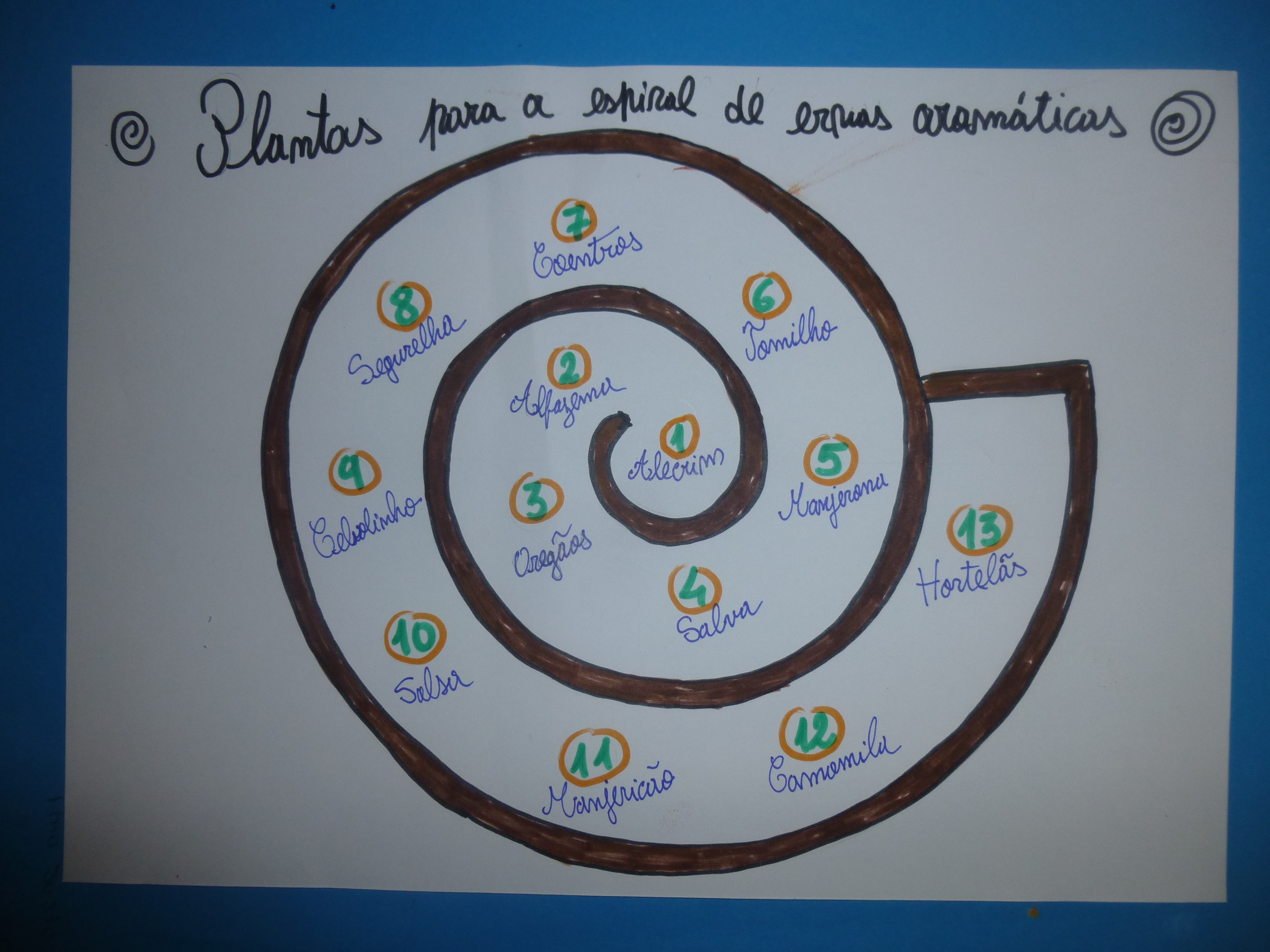 Desenho da espiral e disposição das plantas.