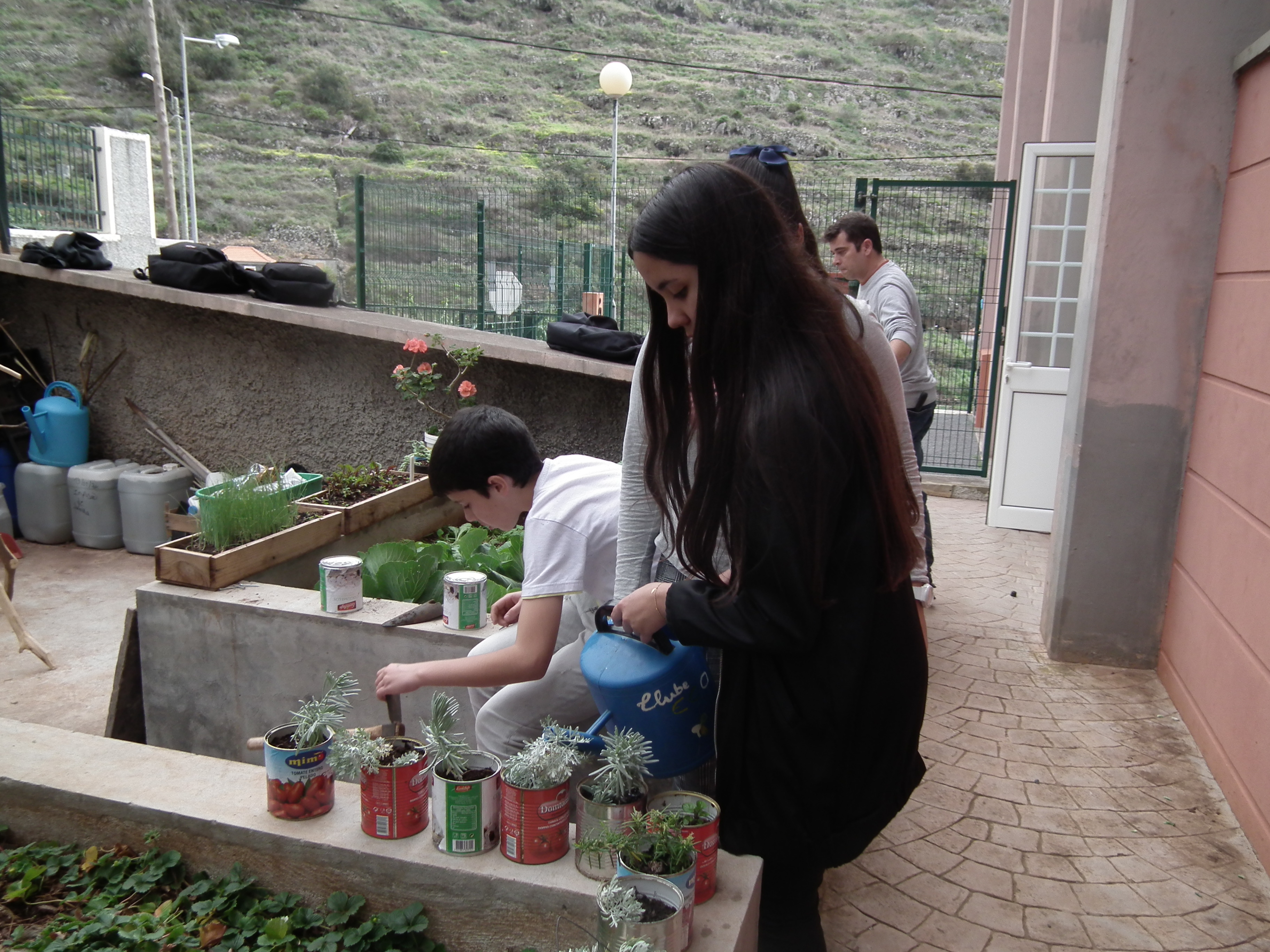 Alunos do Clube Eco plantando aromáticas diversas em latas reutilizadas.