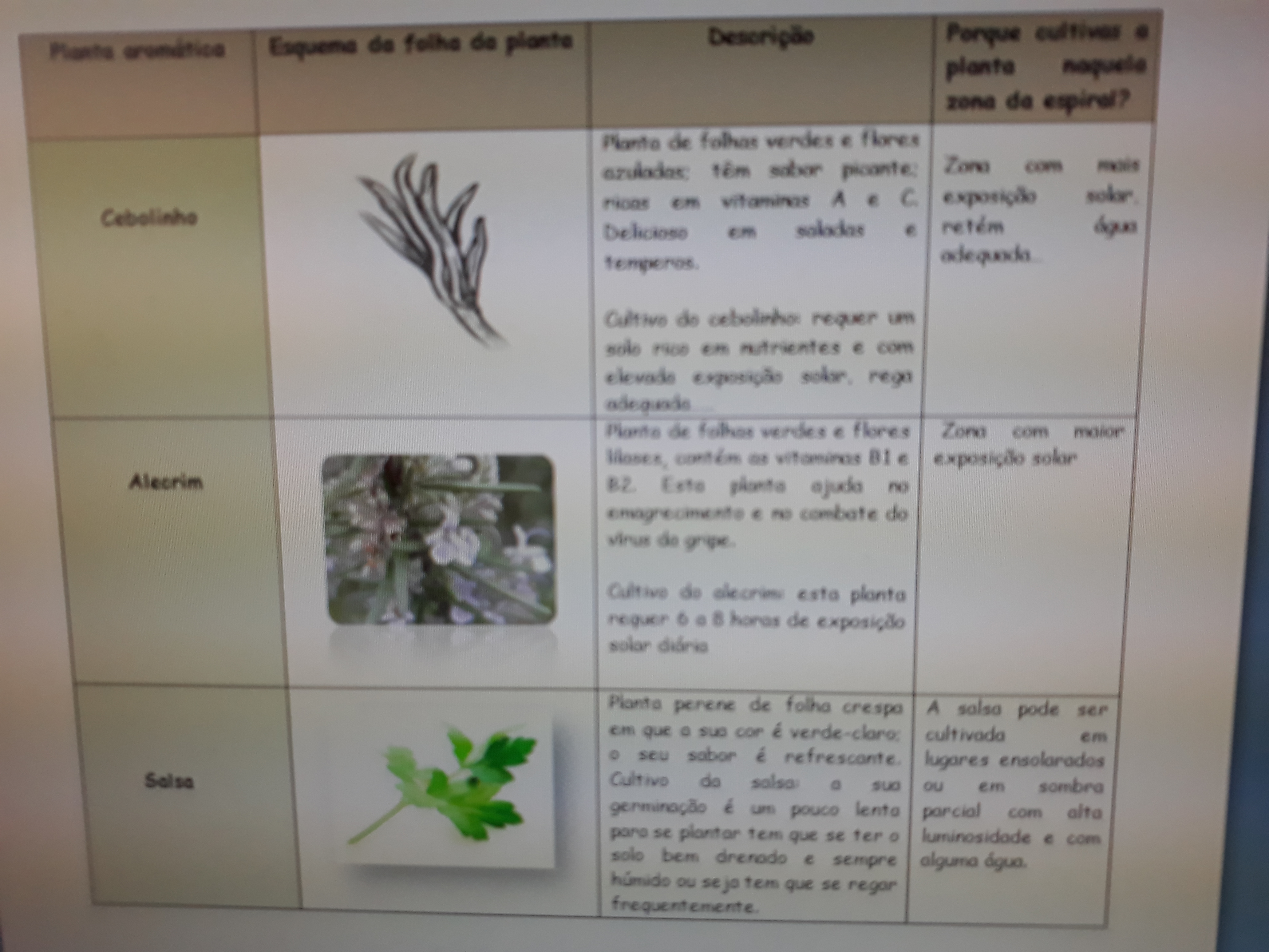 Tabela-descrição das plantas selecionadas e motivo do respetivo posicionamento na espiral