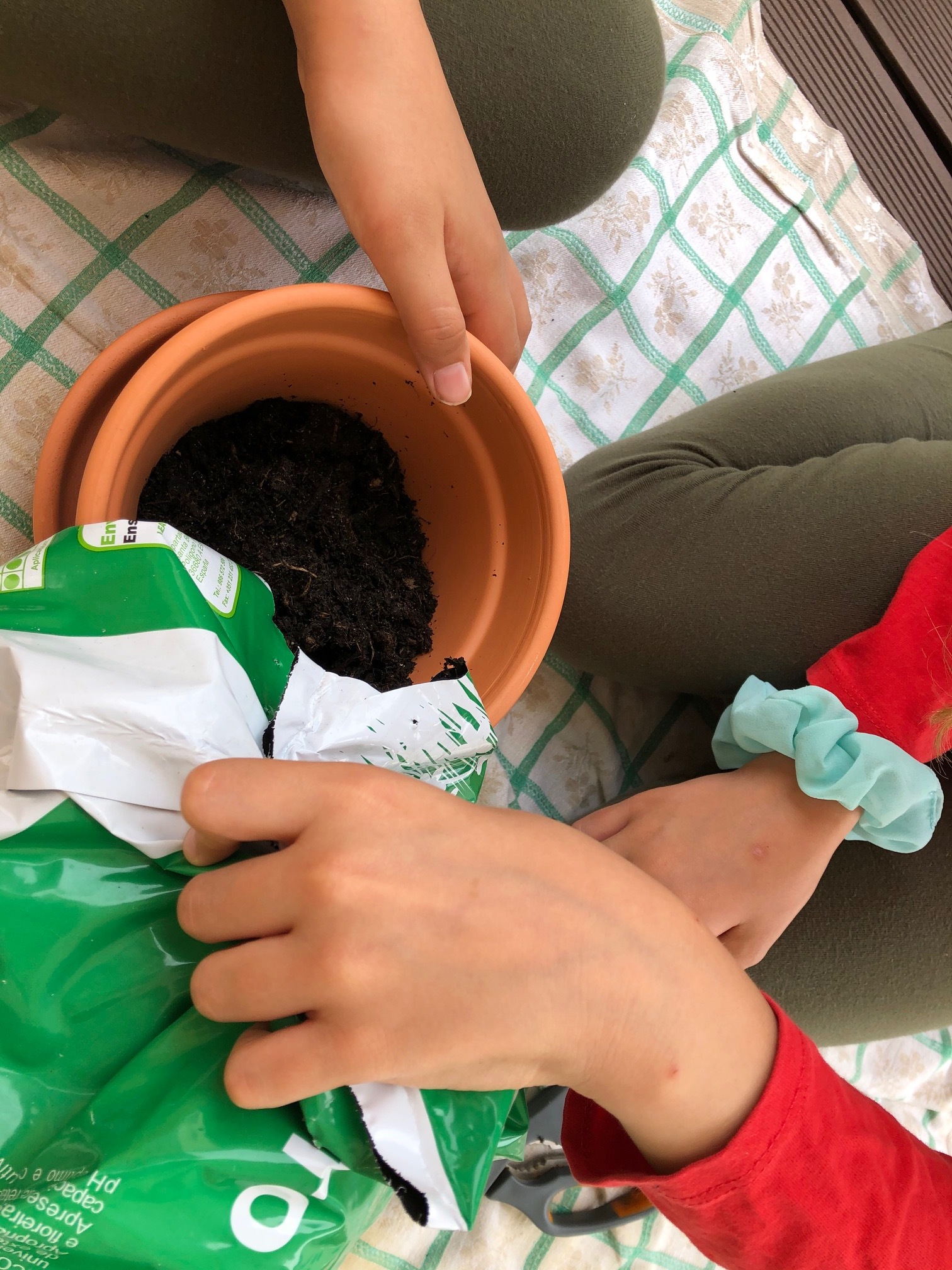 Plantar sementes- preparar a terra