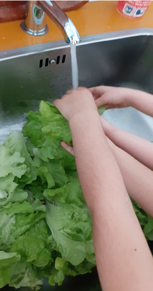 Os alunos lavam os vegetais para a salada