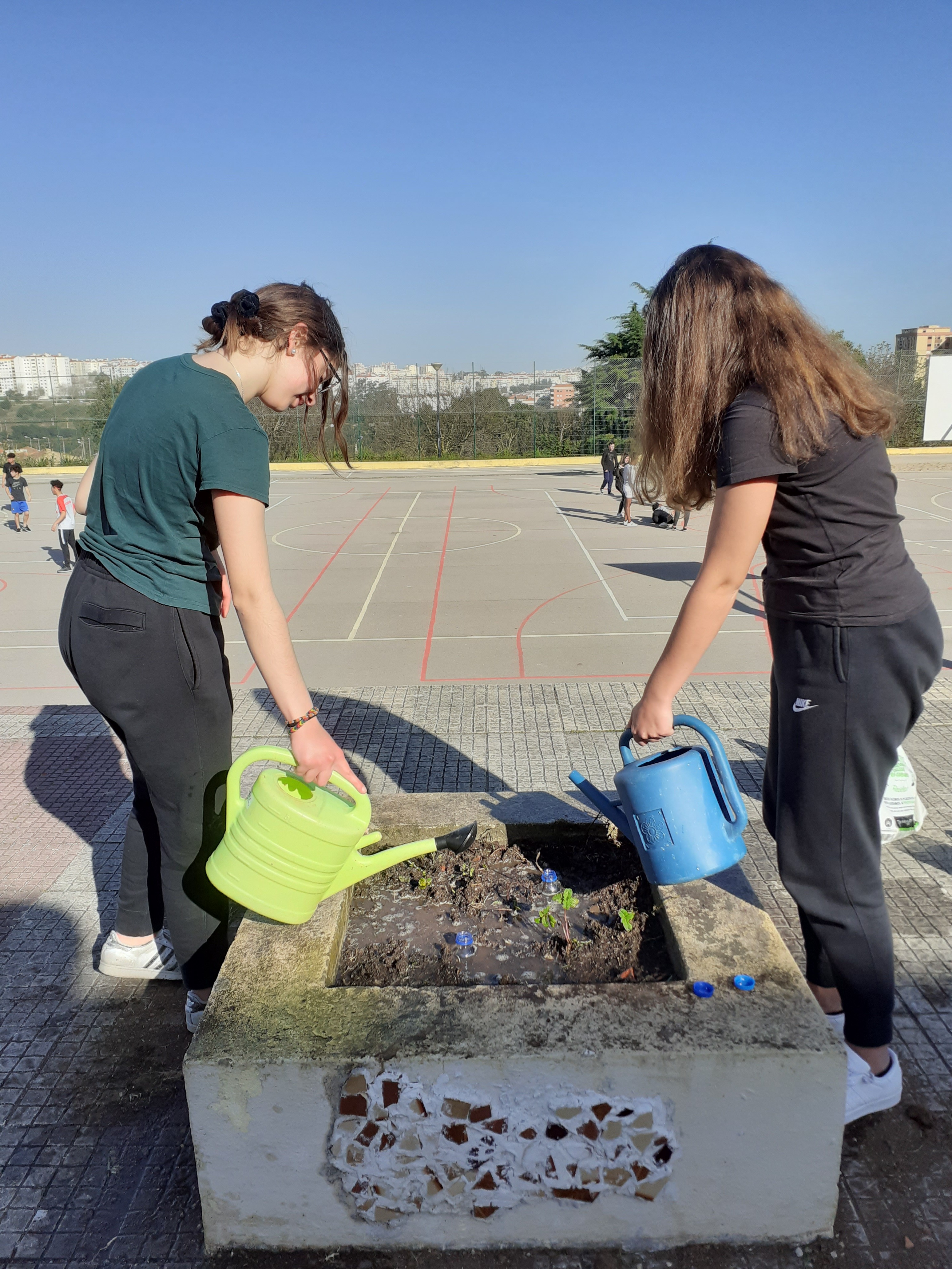 No dia 10 de março duas alunas voluntárias de 10º ano plantaram hortelã- pimenta num dos canteiros da escola. Experimentou-se a rega gota-a-gota, a partir de duas garrafas de plástico reutilizadas,que se enterraram na vertical cheias de água.