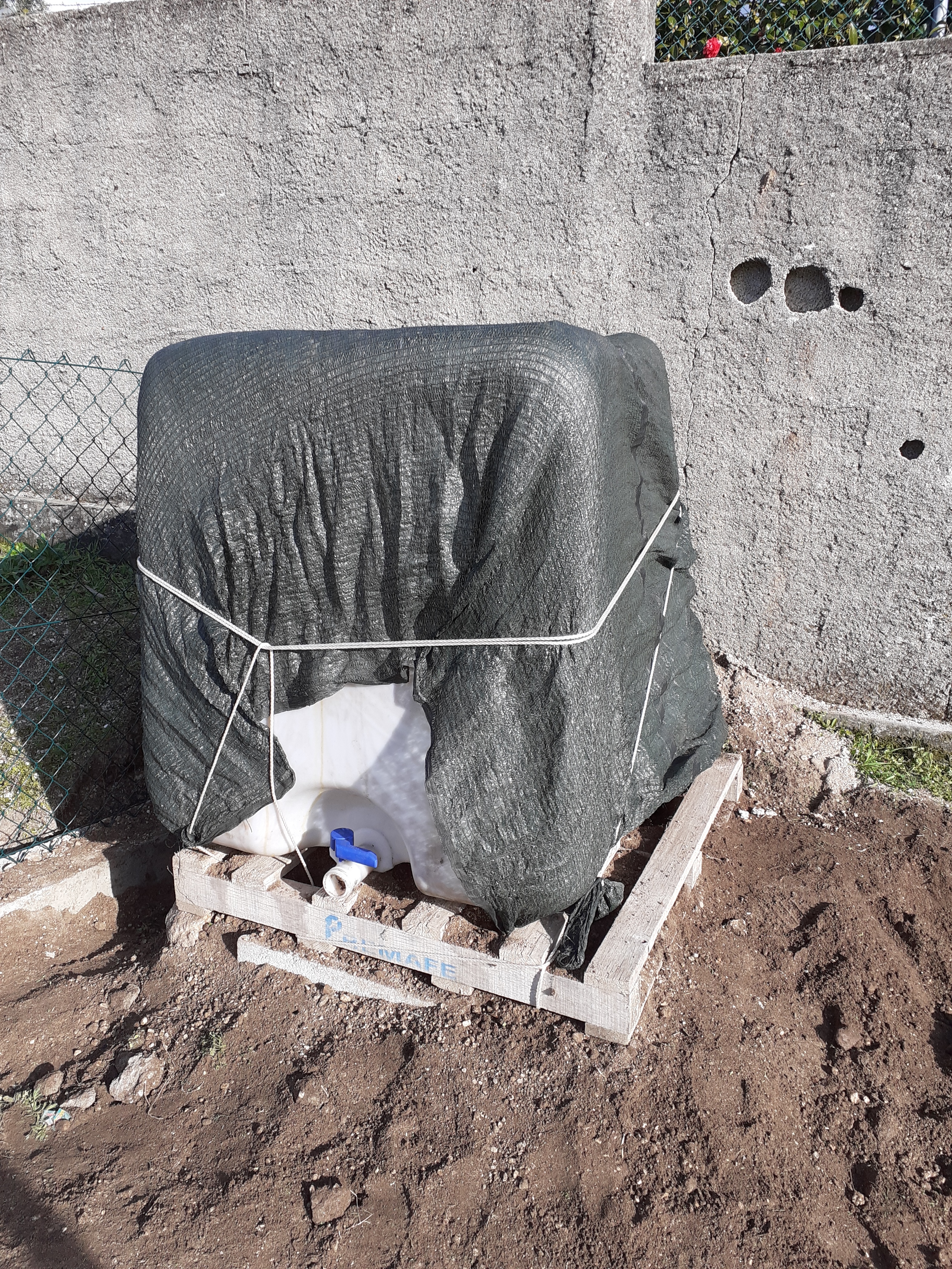 Colocação de um depósito para recolha das águas da chuva para a rega dos canteiros a 22 de janeiro de 2020