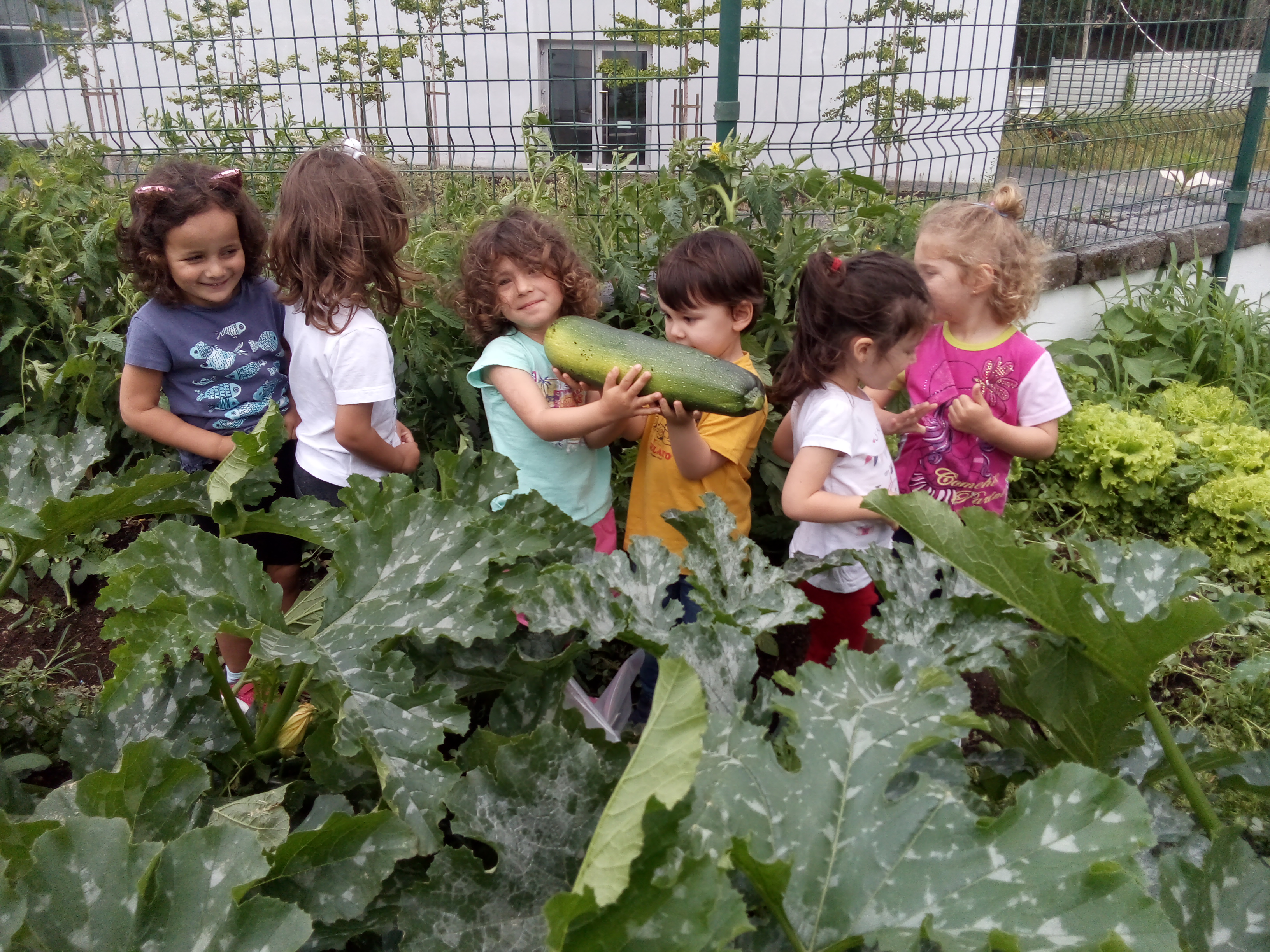Crianças a apanhar o produto da horta no mês de setembro