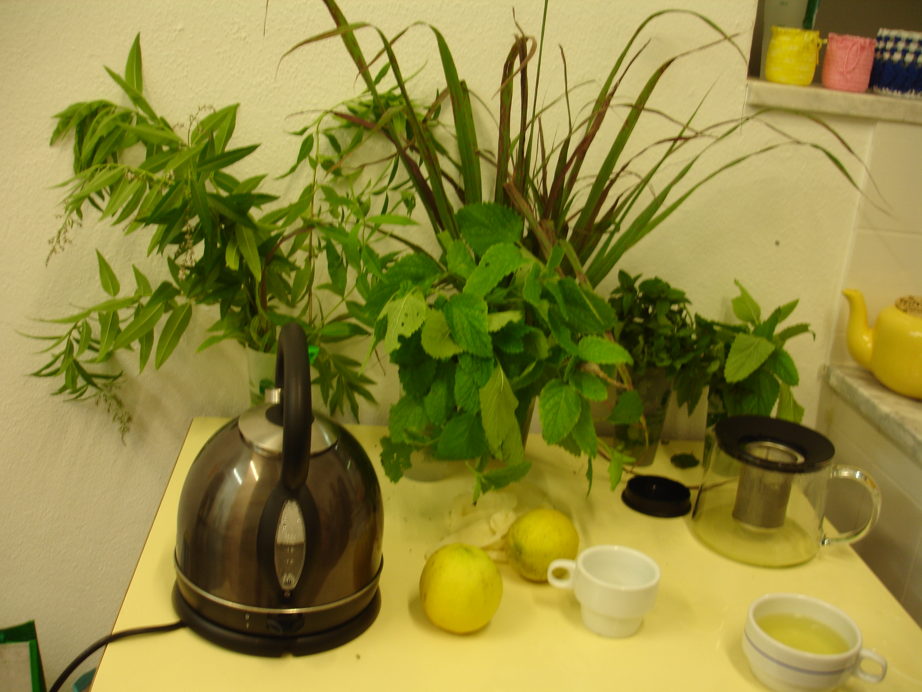 Beber infusões de plantas aromáticas da horta
Diversidade de plantas e frutos utilizados nos chás.
Implementamos  a cofeção de infusões no bufete da Escola.