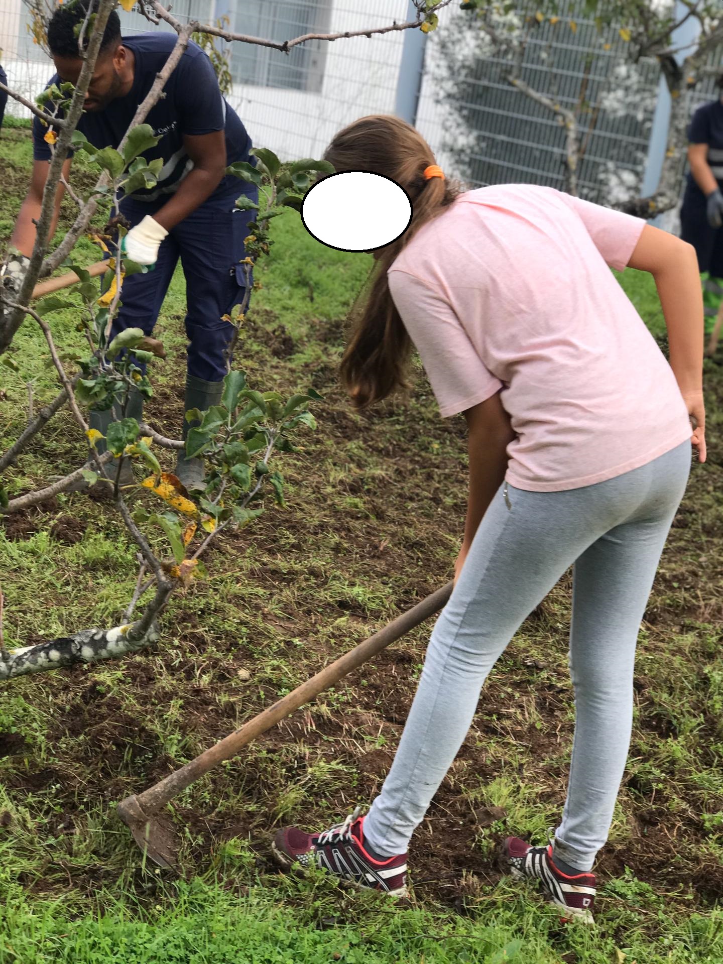 Desbravamento do terreno da horta - Os alunos das turmas (6ºC e 6ºG), a professora e os elementos da Câmara Municipal de Oeiras (CMO) cavam o terreno para poder ser plantado.