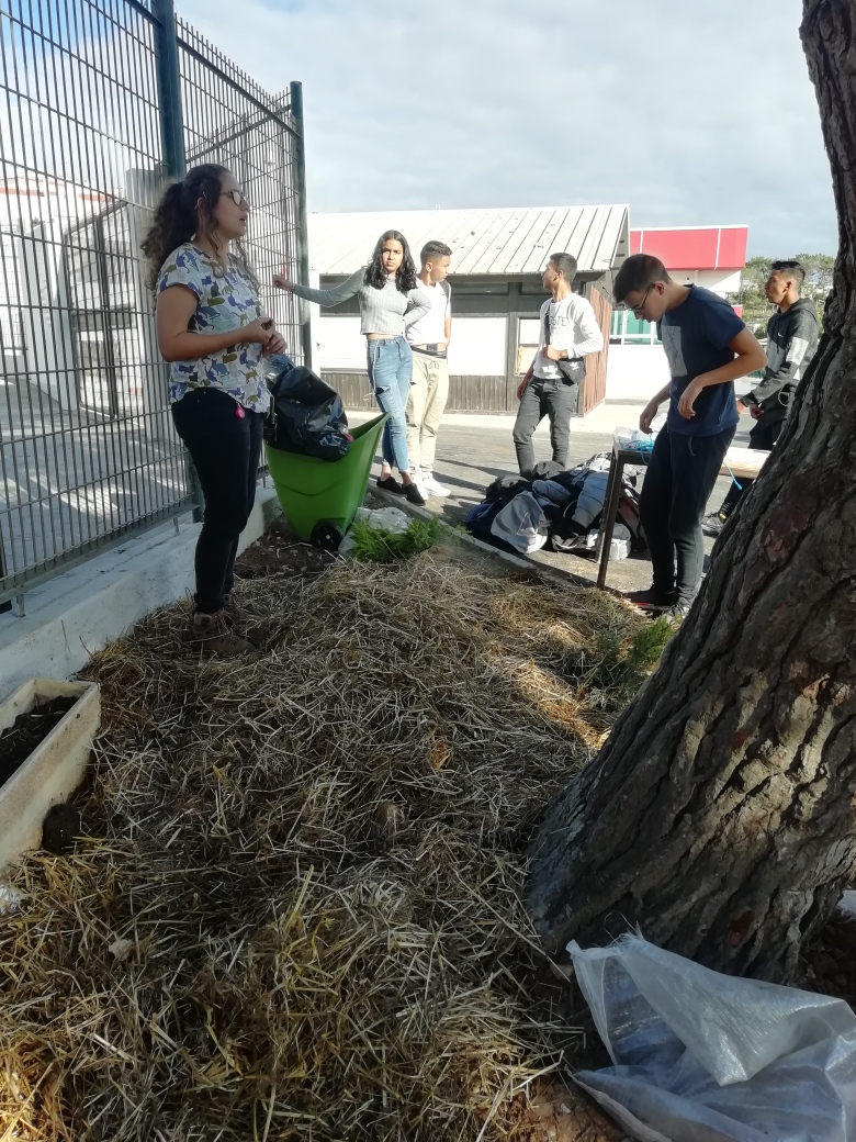 workshop de permacultura (construção de uma cama e colocação de sementes) em 24 de outubro 2019