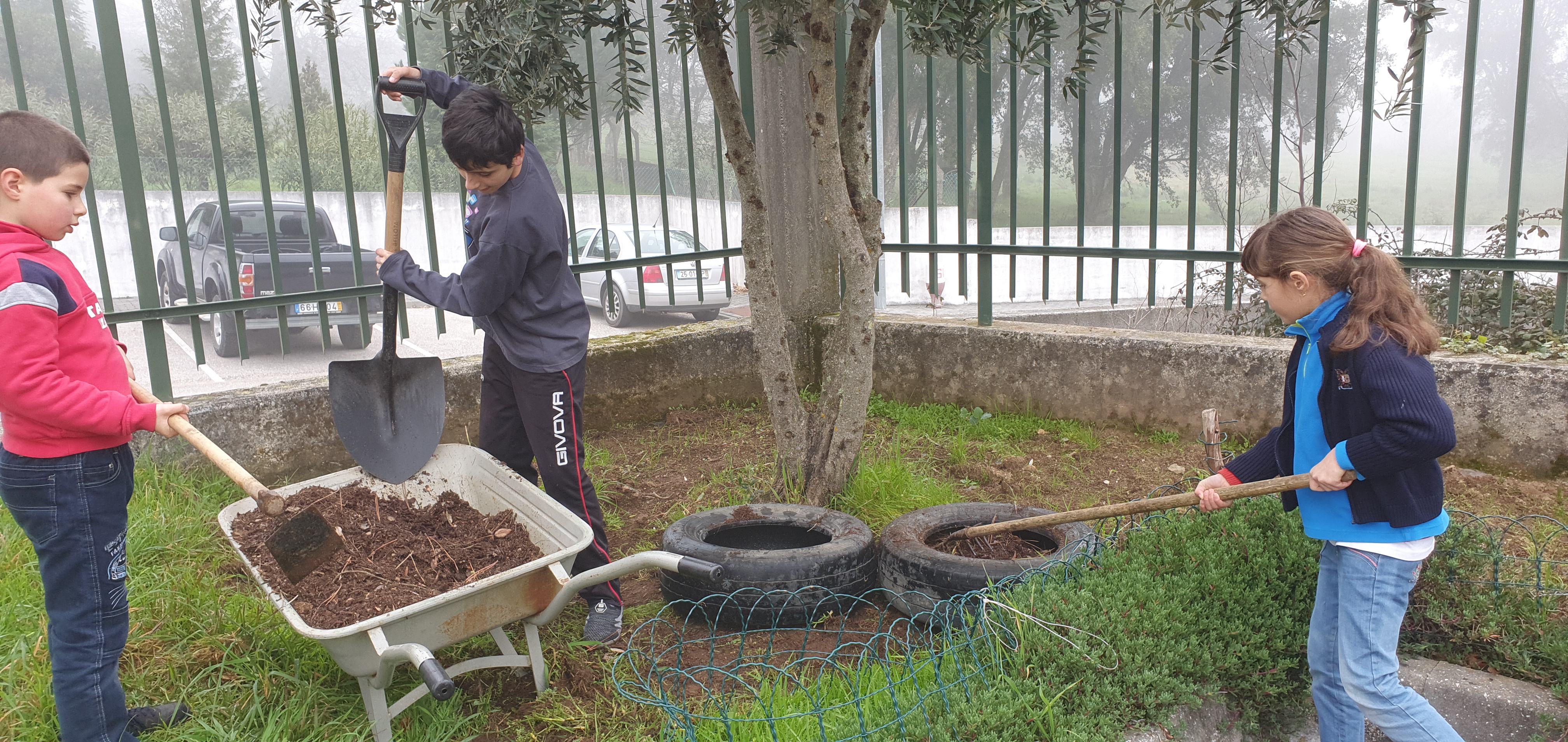 A importância dos fertilizantes naturais - alunos preparam o solo para a  horta, com a adição de terra e fertilizantes orgânicos.