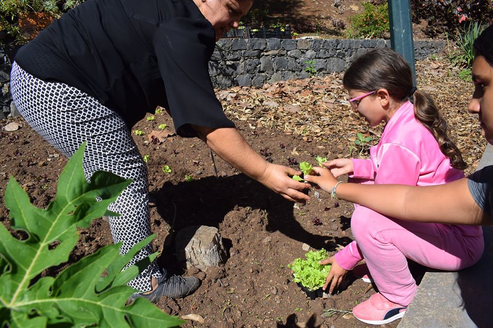 Plantação de alfaces.
Os nossos alunos gostam de ajudar na horta. Desta vez auxiliaram na plantação de alfaces de várias espécies.
