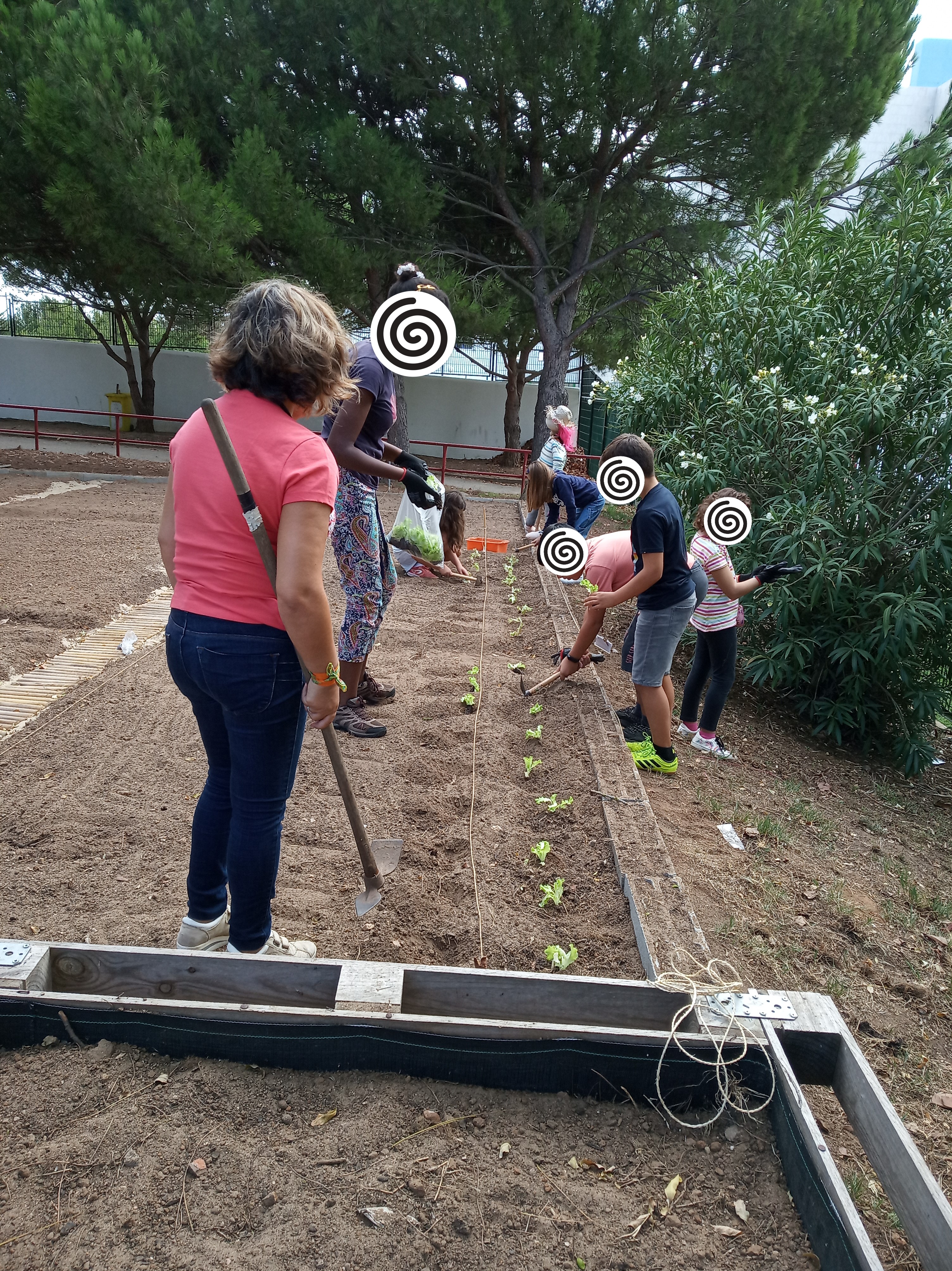 Os alunos de diferentes turmas têm colaborado na manutenção da horta, nomeadamente na retirada das ervas daninhas.