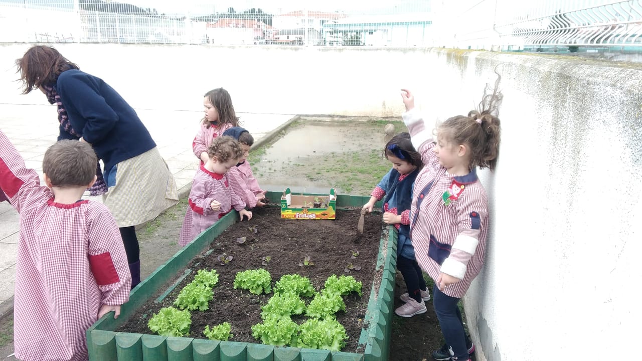 Os alunos do Pré Escolar plantaram alfaces num dos canteiros da horta bio