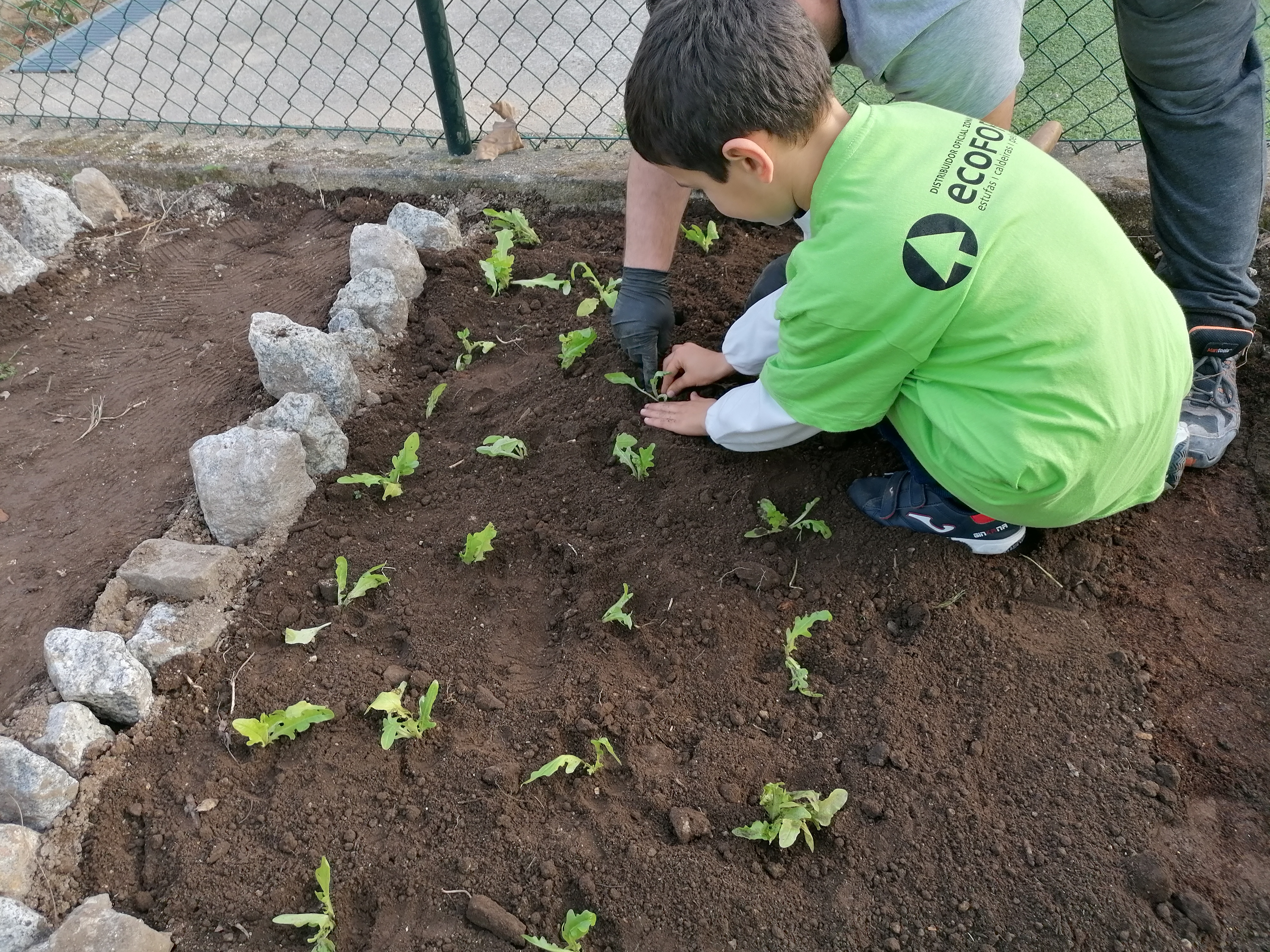 Plantação das alfaces com a colaboração de familiares.
Projeto "Escola sem Muros" - articulação com a comunidade educativa.