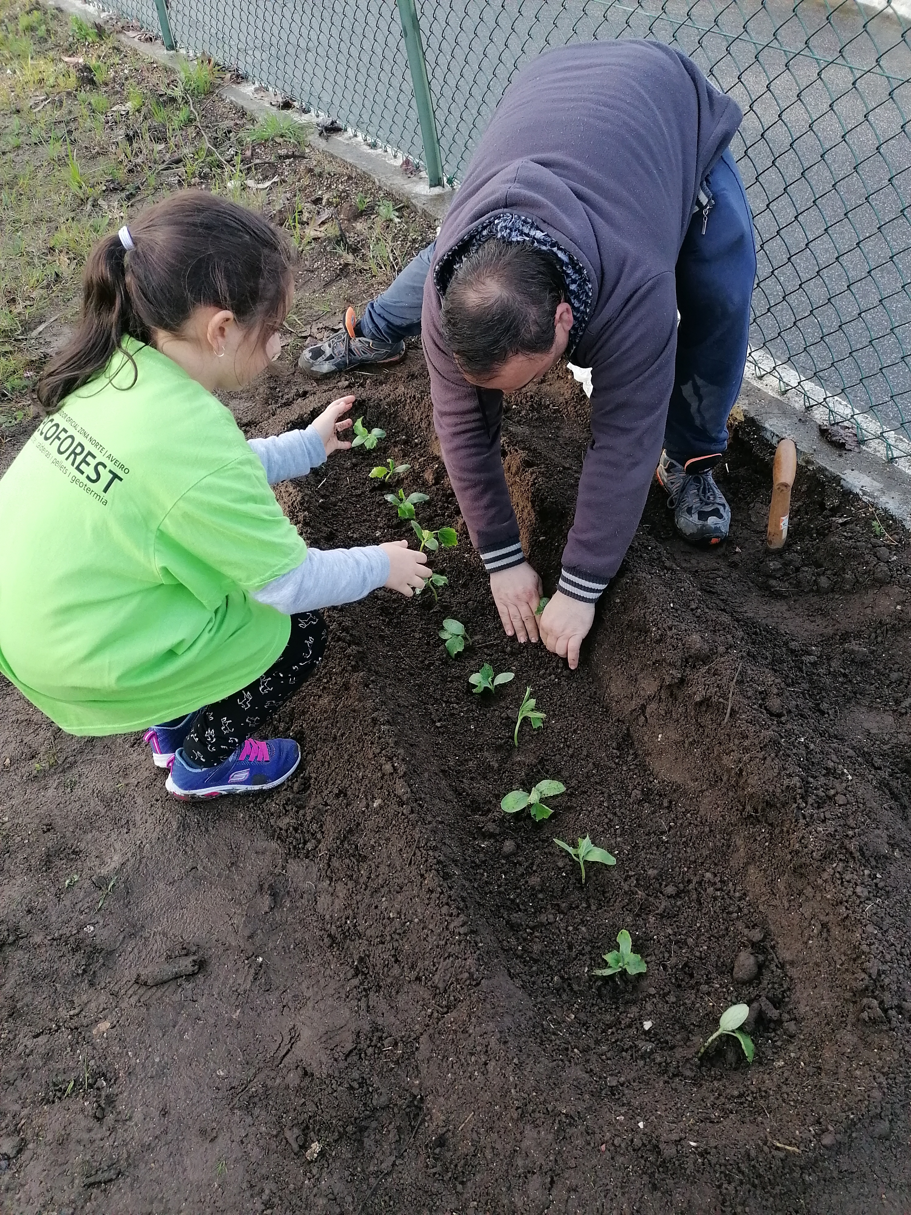 Plantação de pepinos com a colaboração de familiares.
Projeto "Escola sem Muros" - articulação com a comunidade educativa.