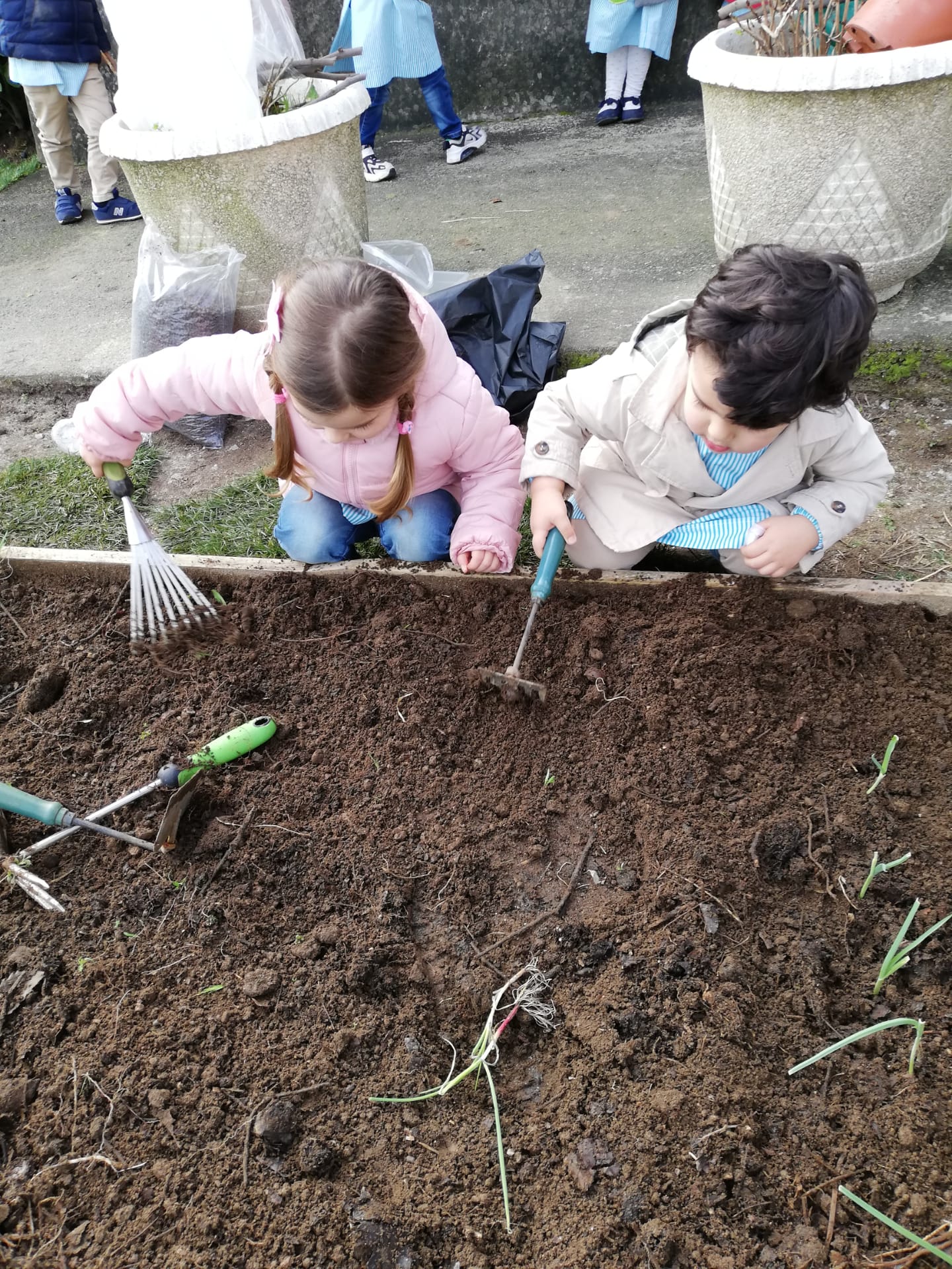 As crianças preparam a terra para receberam as plantas.