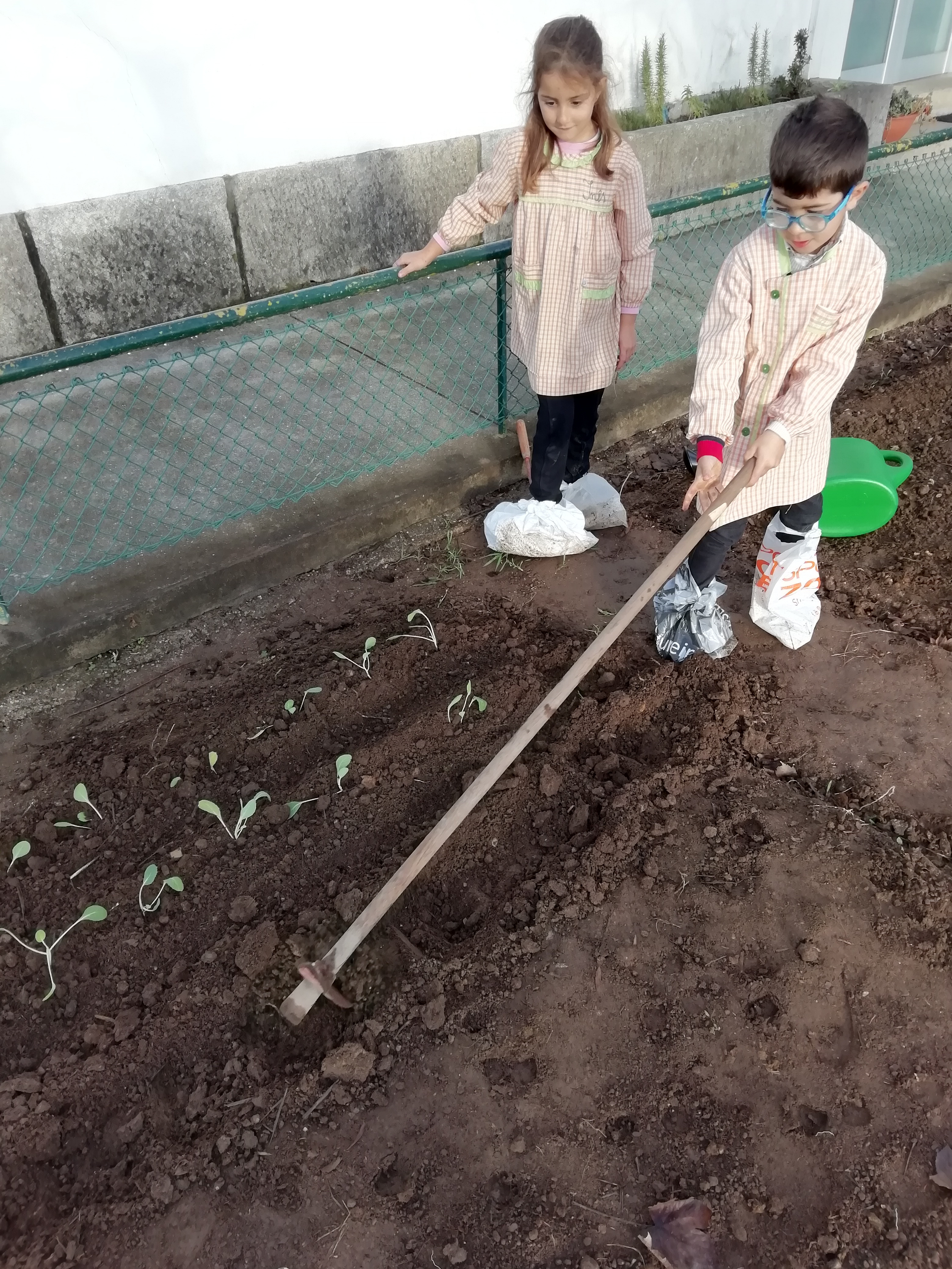 Uma criança está a regar a terra depois de terem sido feitas as sementeiras (favas e ervilhas)