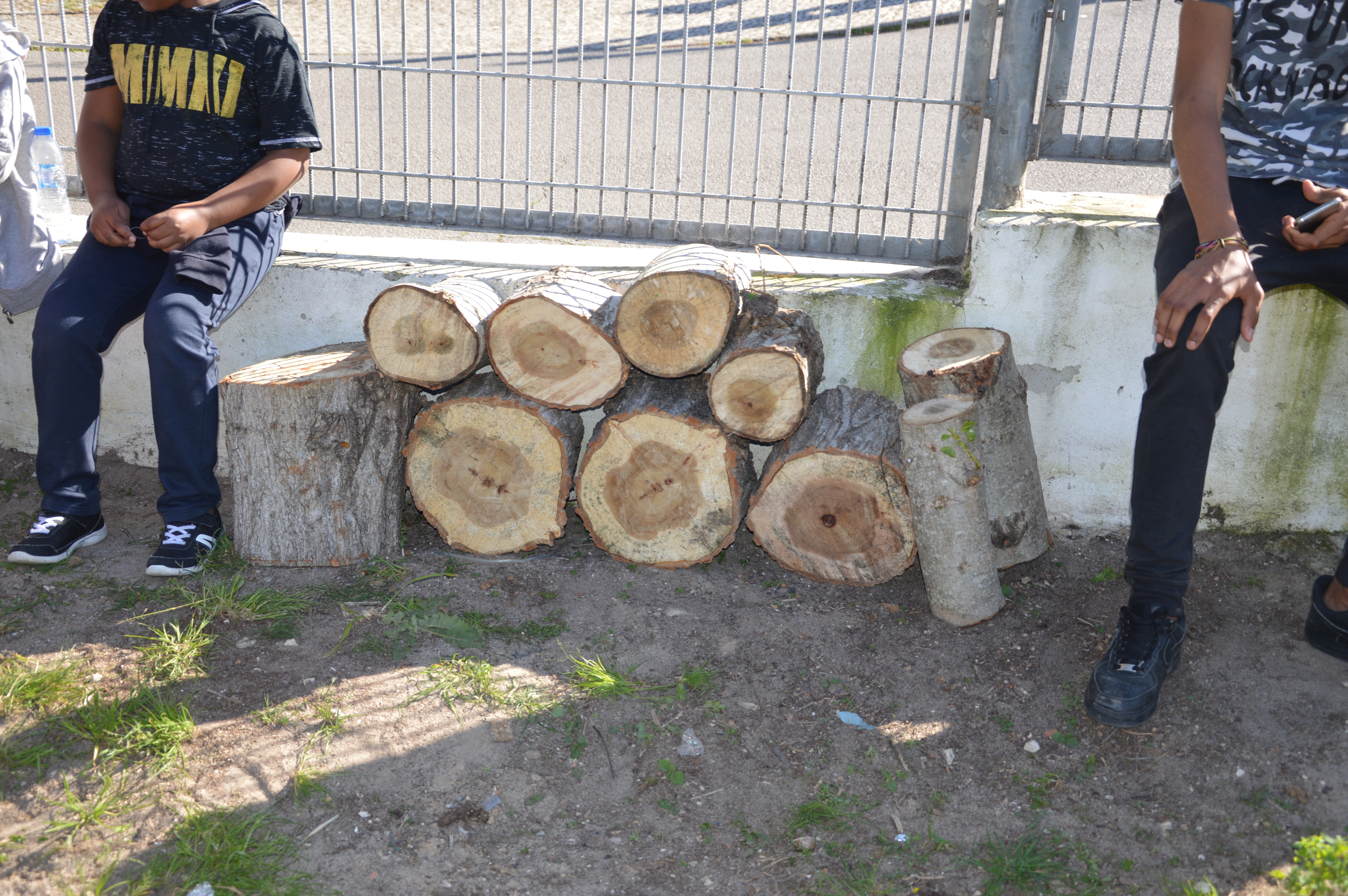 Colocação dos troncos maiores no local do hotel.