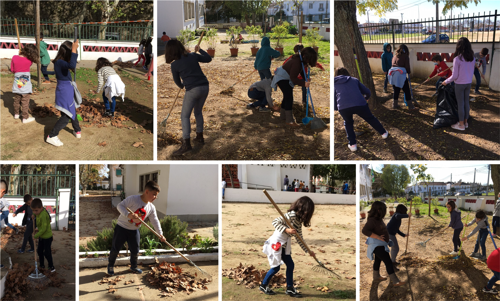 Compostagem – outono: os alunos das turmas do 3º A e do 4ºA recolheram as folhas das árvores do pátio para colocar no compostor.