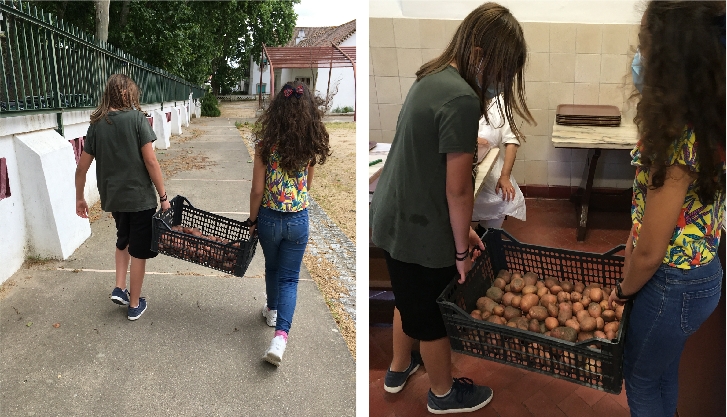 Os alunos do 4º ano levaram a caixa com as batatas para a cozinha da escola para serem utilizadas na confeção das refeições servidas no refeitório.