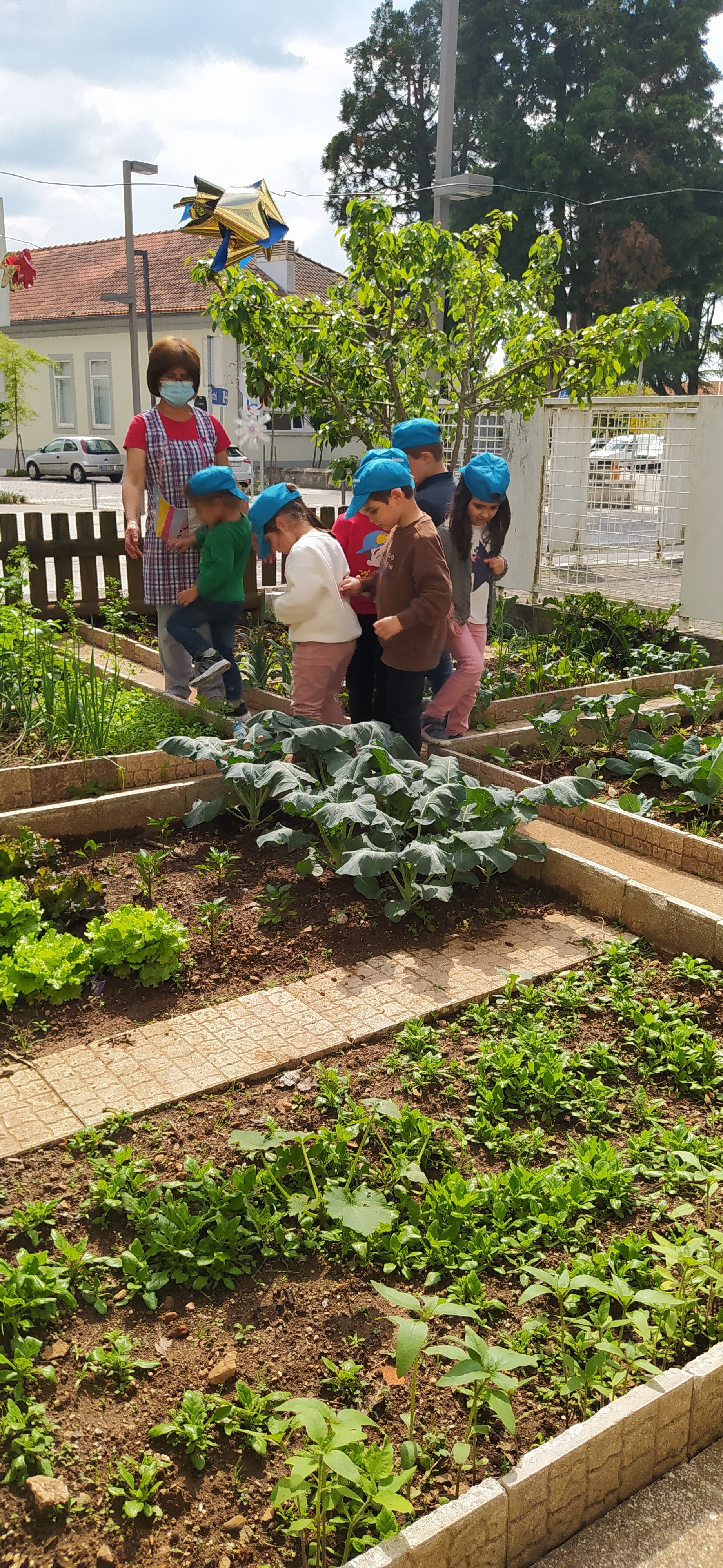 As crianças observaram a horta e colaboraram no retirar das plantas invasoras. Conheceram as partes que compõem a planta, revelando interesse em conhecer/identificar  todas as plantas, que cresciam.