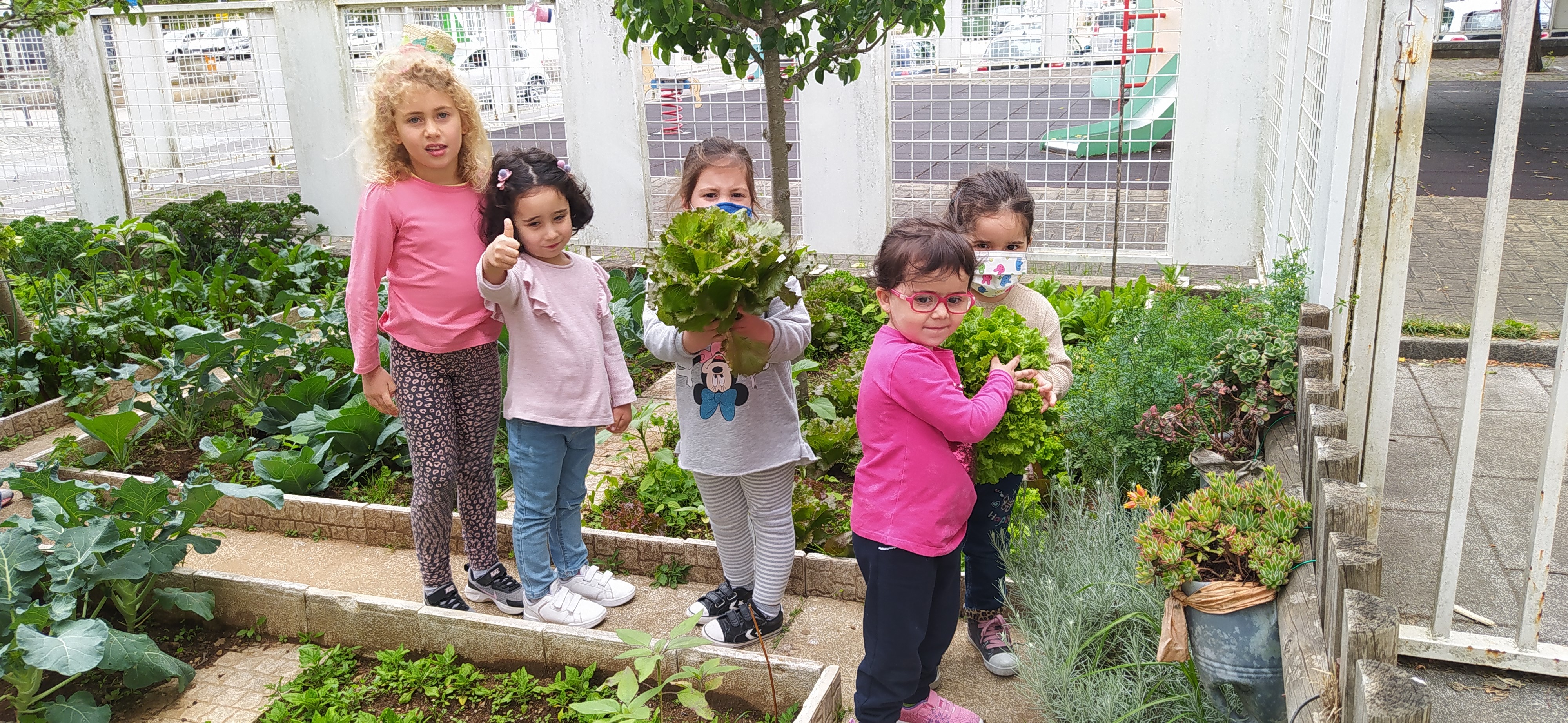 A Horta Pedagógica é um centro de interesse das crianças. Elas gostam de observar as plantas a crescer e identificar as suas diferenças. O que cada planta nos dá e como se come. Continua-se a tratar bem delas e a retirar as plantas invasoras.