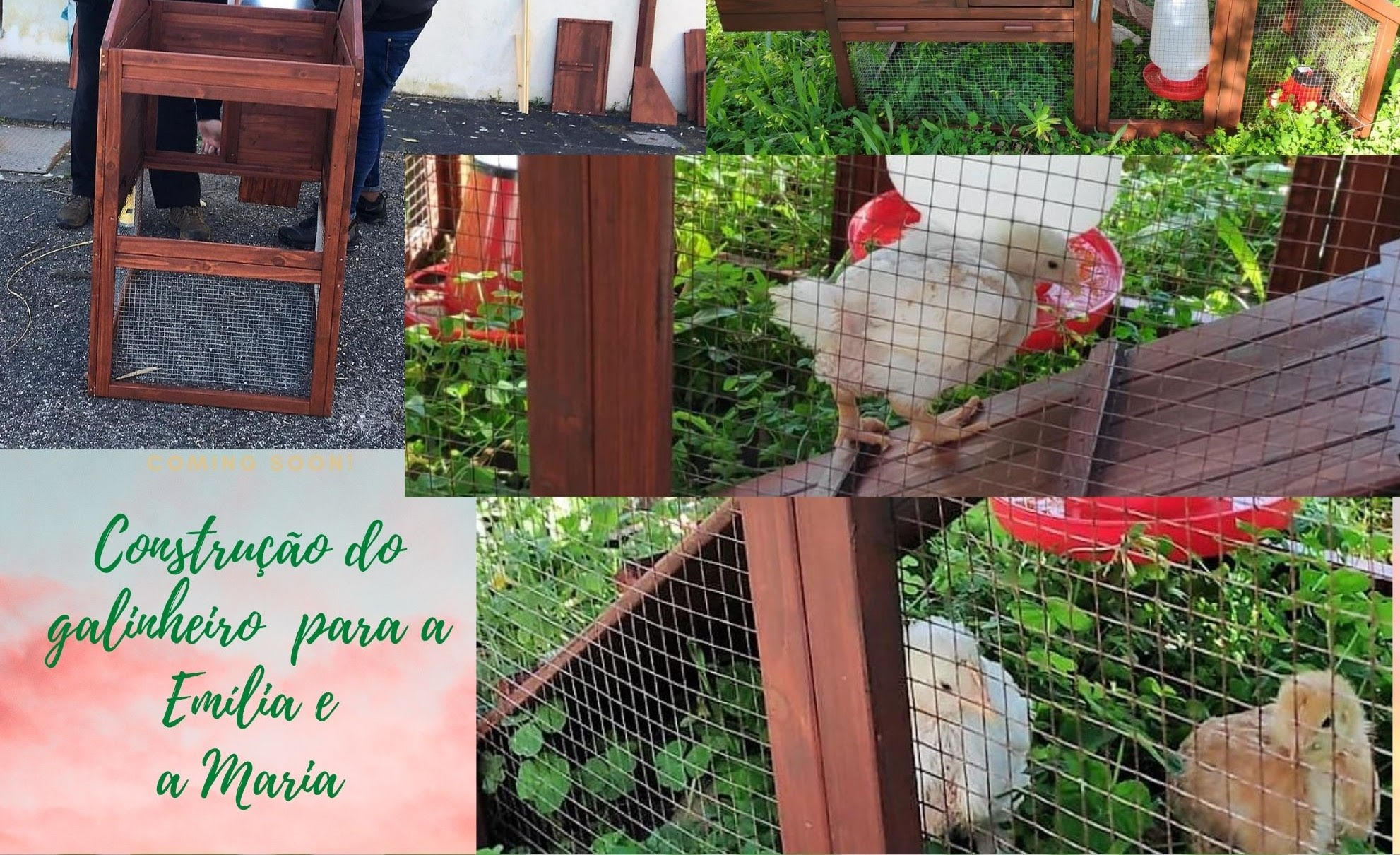 Oficina de construção do galinheiro para a “Maria” e a “Emília”. O galinheiro associado à plantação beneficia a  alimentação dos animais e limpa canteiros de insetos e plantas invasoras.