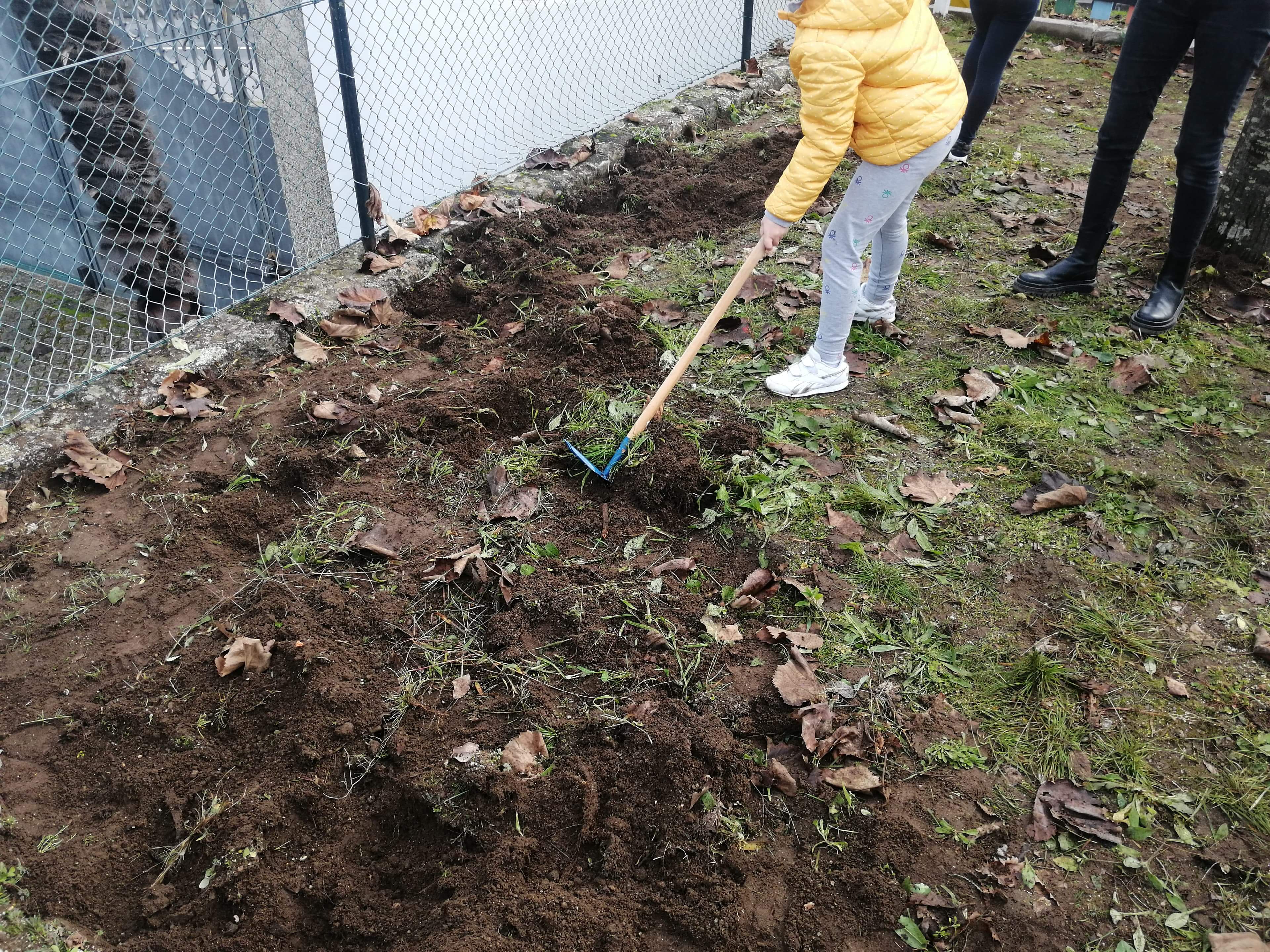 Iniciação da Horta Bio.
Nesta imagem podemos ver um aluno a cavar a terra com uma enxada.