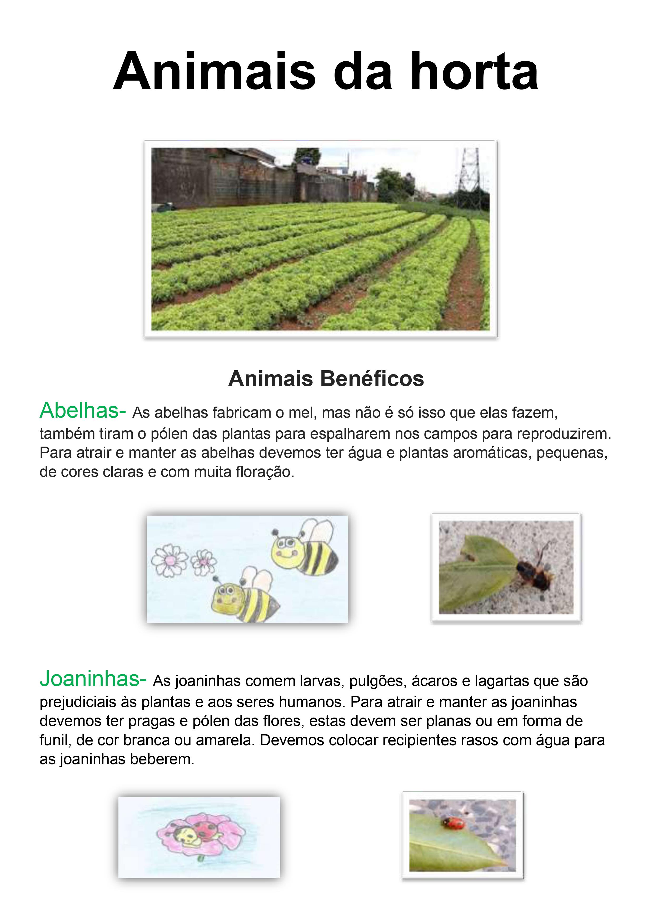 Ficha dos animais benéficos, com ilustrações.